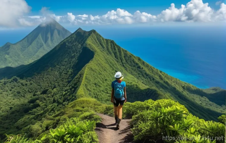 세인트빈센트 그레나딘의 유명 관광지 - Image Prompt 1: La Soufrière Volcano Ascent**